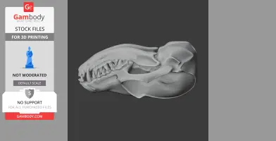 3D model of a fennec fox skull displayed in profile view on a dark background.