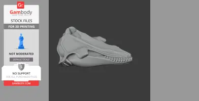 Fin Whale Skull - Skull Replica STL