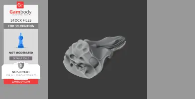 Fin Whale Skull - Skull Replica STL