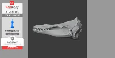 Fin Whale Skull - Skull Replica STL