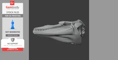 Fin Whale Skull - Skull Replica STL