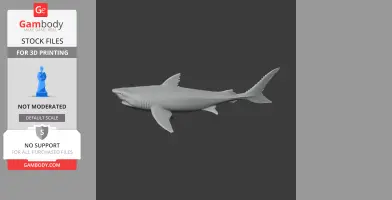 Gray 3D model of a Squalicorax, a prehistoric shark, for printing.