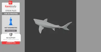 Gray 3D model of a prehistoric shark, Squalicorax, displayed on Gambody's interface for 3D printing.