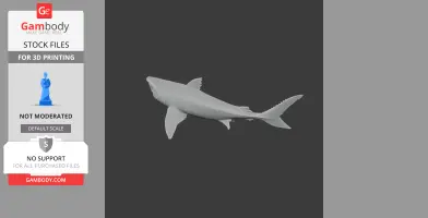 3D model of a prehistoric shark, Squalicorax, designed for 3D printing.