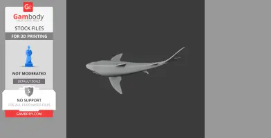 3D model of a Squalicorax, a prehistoric shark, designed for 3D printing.