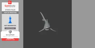 3D model of prehistoric shark Squalicorax facing forward, suitable for 3D printing.