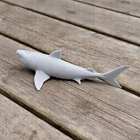 3D printed model of a prehistoric shark, Squalicorax, displayed on a wooden surface.