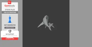 A 3D model of a prehistoric shark, Squalicorax, designed for 3D printing.