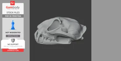 3D model of a fishing cat skull, side view, suitable for 3D printing.