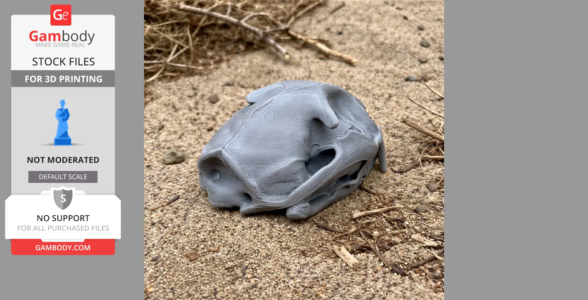 Gray 3D-printed fishing cat skull resting on sandy ground with twigs.