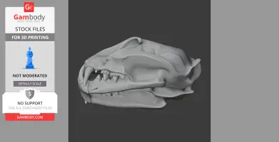3D model of a fishing cat skull in profile view, detailed for printing.