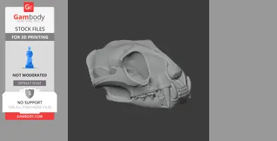 3D model of a fishing cat skull replica, showcasing detailed bone structure and teeth.