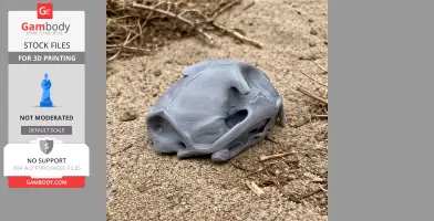 Gray 3D-printed fishing cat skull resting on sandy ground with twigs.