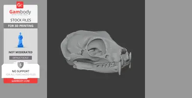 3D model of a flat-headed cat skull, side view, showcasing detailed bone structure for printing.