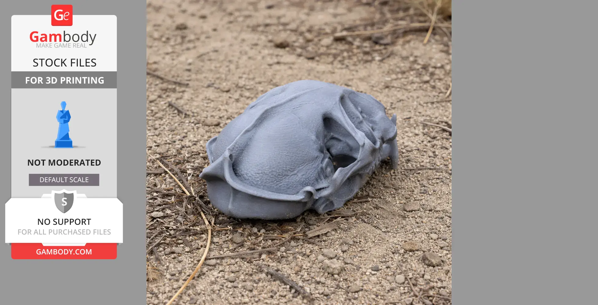 A 3D-printed flat-headed cat skull replica rests on rough sand and twigs.