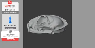 3D model of a flat-headed cat skull viewed from the side for 3D printing.