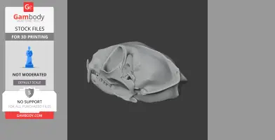 3D model of a flat-headed cat skull, shown in a gray, smooth, digital render for printing.