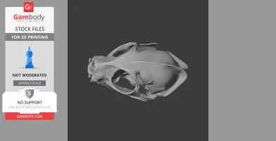 3D model of a flat-headed cat skull, side view, for 3D printing displayed on a grey background.