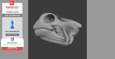 Galapagos Tortoise Skull - Skull Replica STL