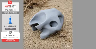 Galapagos Tortoise Skull - Skull Replica STL