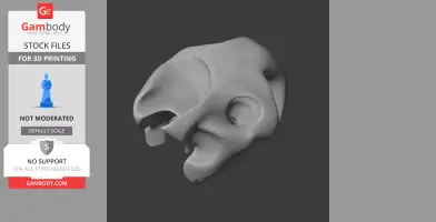 Galapagos Tortoise Skull - Skull Replica STL