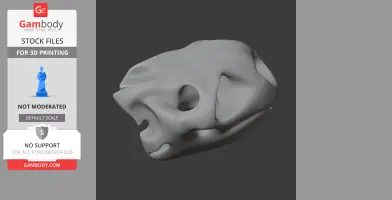 Galapagos Tortoise Skull - Skull Replica STL