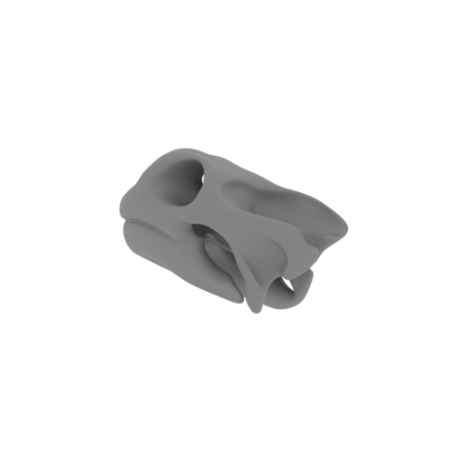 Galapagos Tortoise Skull.stl