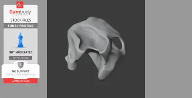 Galapagos Tortoise Skull - Skull Replica STL