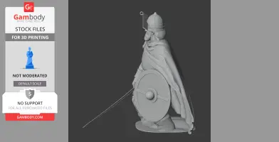 A Viking warrior with a helmet and shield, wearing a cloak, ready for battle.