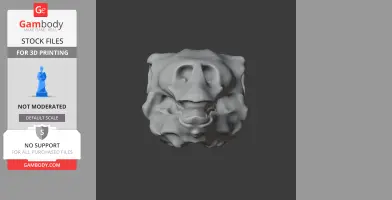 Gastonia Skull - Skull Replica STL