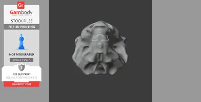 Gastonia Skull - Skull Replica STL