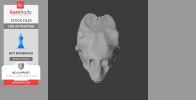 Gastonia Skull - Skull Replica STL