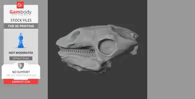 Gastonia Skull - Skull Replica STL