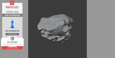Gastonia Skull - Skull Replica STL