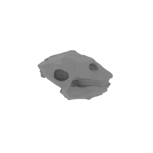 Gastonia Skull.stl