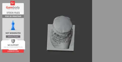 Top view of a 3D printed bust with a textured beard and cap on a base.