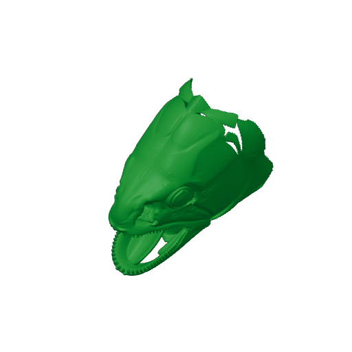 Giant Characin Skull.3mf