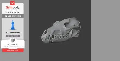 Golden Jackal Skull - Skull Replica STL