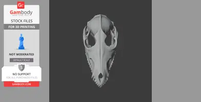 Golden Jackal Skull - Skull Replica STL