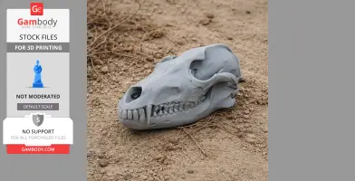 Golden Jackal Skull - Skull Replica STL