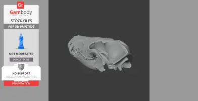 Golden Jackal Skull - Skull Replica STL