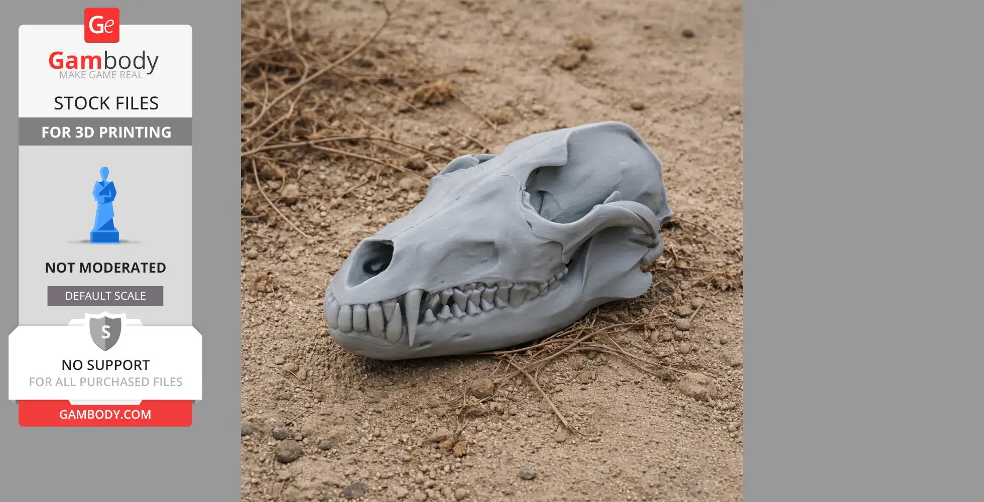 Golden Jackal Skull - Skull Replica STL