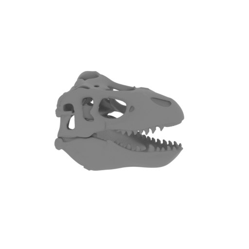 Gongxianosaurus (fossil) Skull.stl