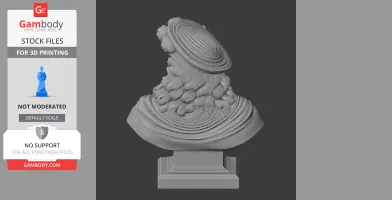 A detailed bust of a historical figure with flowing hair and a hat, suitable for 3D printing.