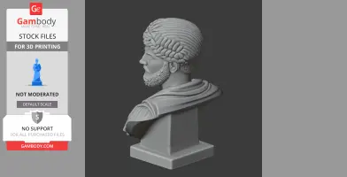 3D printed bust of a historical warrior with curly hair and beard on a pedestal, viewed from the side.