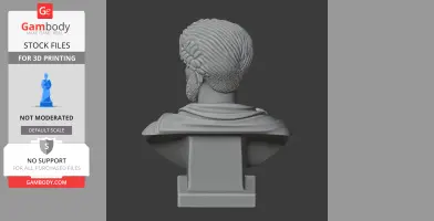 3D model of a historical bust with detailed hair and a draped garment, viewed from the back.