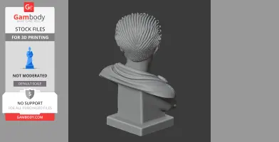 3D printed bust of a historical figure from the back view, showcasing detailed hair and draped clothing.