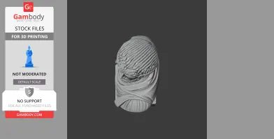 3D model of a classical bust, depicting a historical figure with detailed hair and draped clothing.