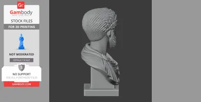 Bust of a bearded man with curly hair and draped clothing, profile view, for 3D printing.