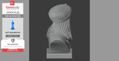 A detailed side view of a 3D-printed bust with intricately draped clothing.